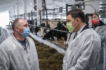 Евгений Куйвашев проверил, как работают меры поддержки фермеров и насколько доступны уральцам местные продукты