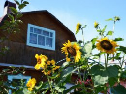 Выделены средства на «подъёмные» для молодых специалистов-аграриев