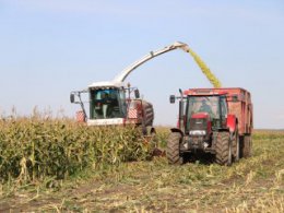 Что кабану в радость, то аграрию - урон