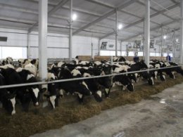 Новый вектор развития