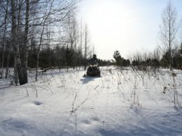 Сотрудники лесничеств усилят охрану лесов в преддверии Нового года