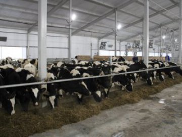 Новый вектор развития