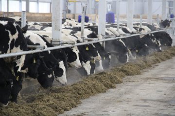 В плюсе все