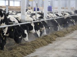 В плюсе все