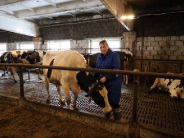 Сердце в работе