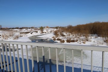 Прогноз – предварительный, пункт временного размещения – реальный