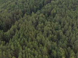 Утверждена дата начала пожароопасного сезона в Свердловской области