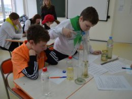 «Школа юного эколога»