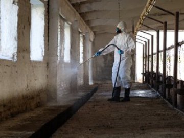 После большой воды: дезинфекция, вакцинация, контроль