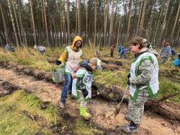 Более 4 тысяч сеянцев сосны высадили участники акции «Сохраним лес»